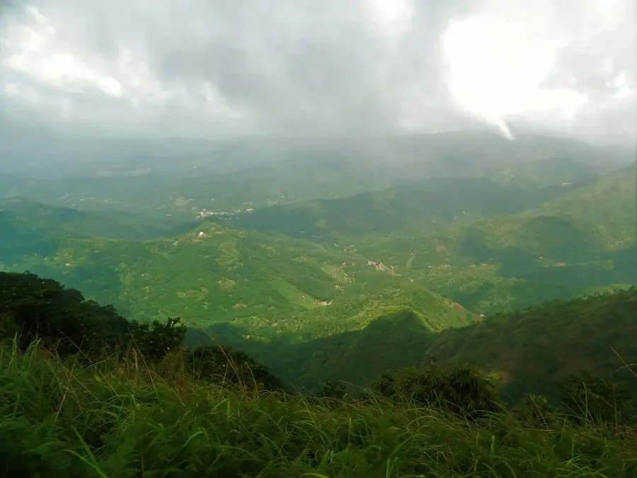 Munții Cardamom — Kizhunna (India)