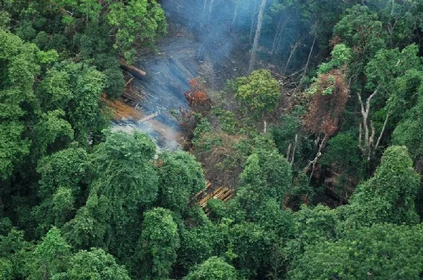 Cardamom Mountains