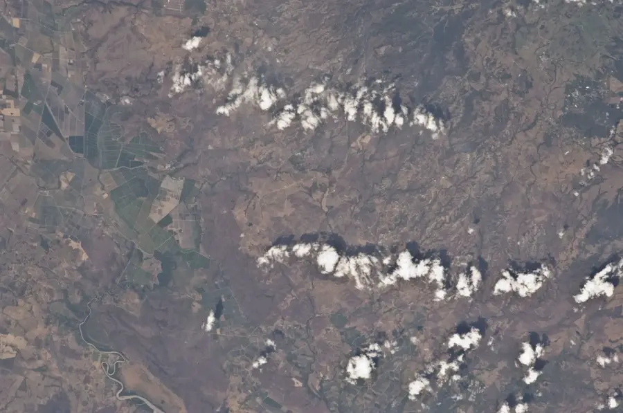 Cárdenas