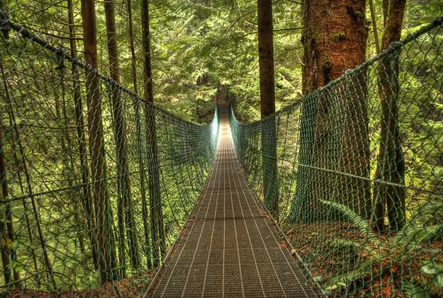 Carmanah Walbran Provincial Park Wald