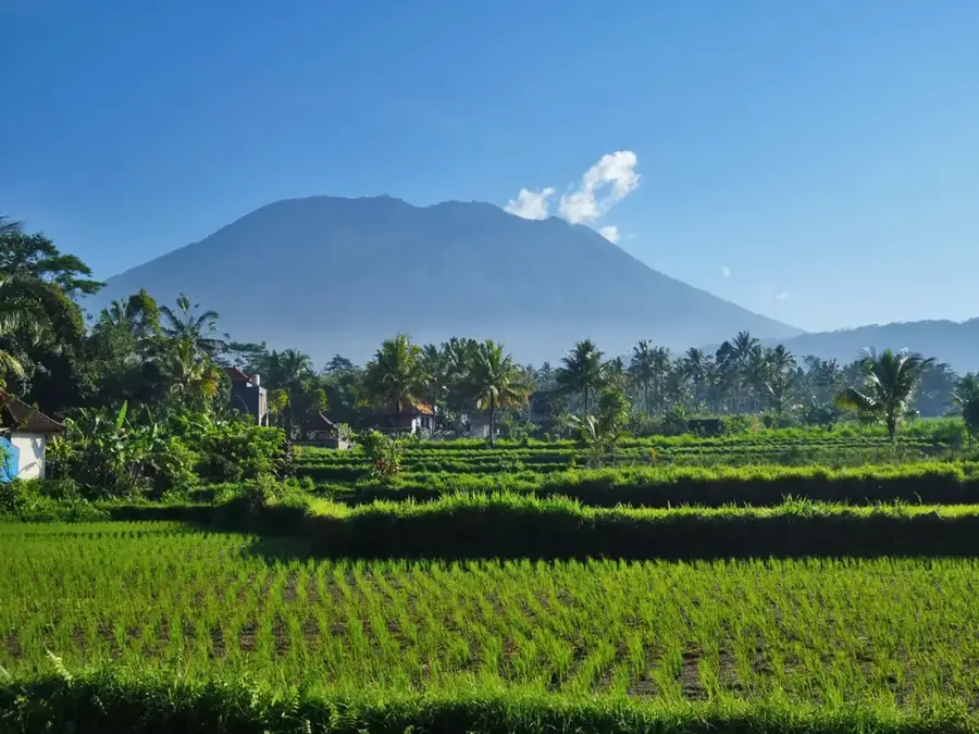 Central Cardamom Protected Forest