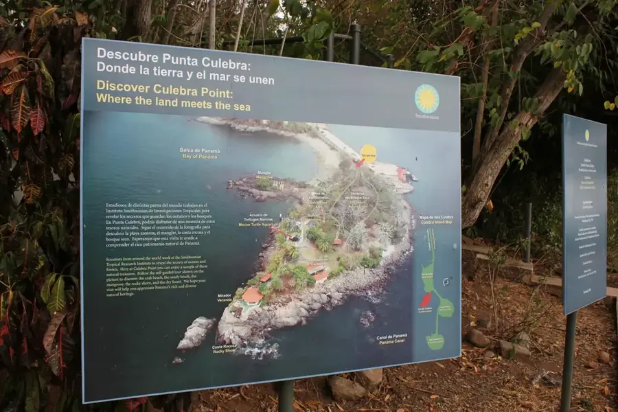 Punta Culebra Nature Center — Torre Davivienda (Panama)