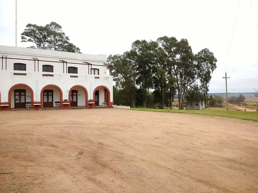 Cerro Colorado — San Pedro de Timote Estate (Uruguay)