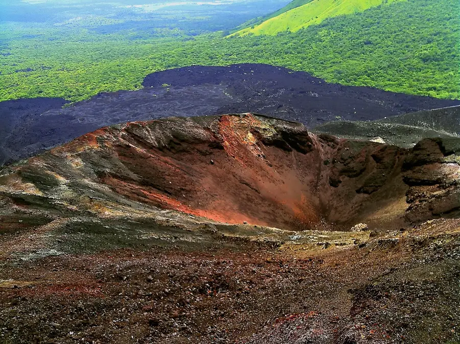 Pădurea uscată din jurul Cerro Negro