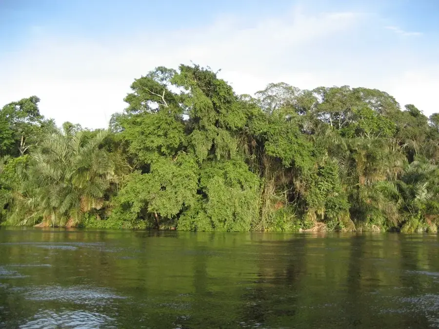 Alima — Owando (Kongo-Brazzaville)