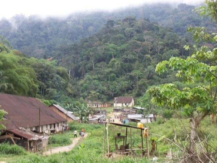 Dimonika-Biosphärenreservat — Kimongo (Kongo-Brazzaville)