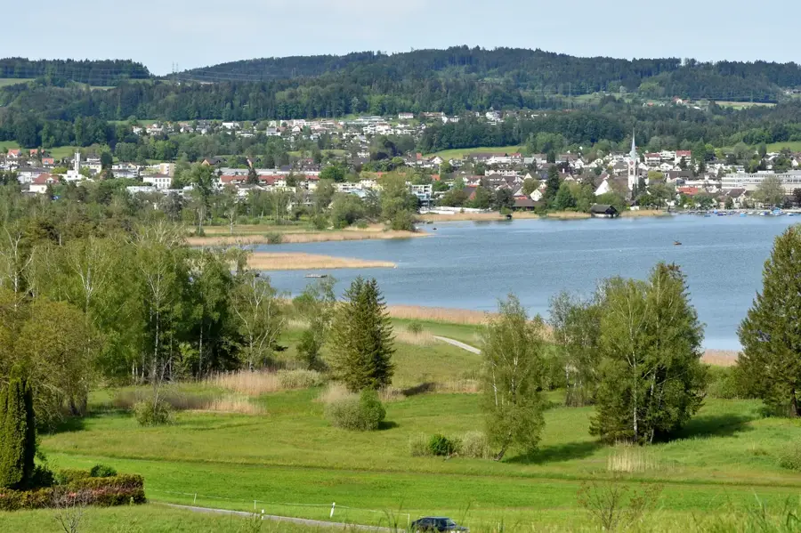 Pfäffikon — Wil (Elveția)