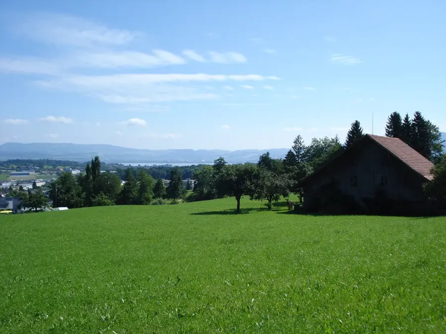 Steinhausen — Cham (Elveția)