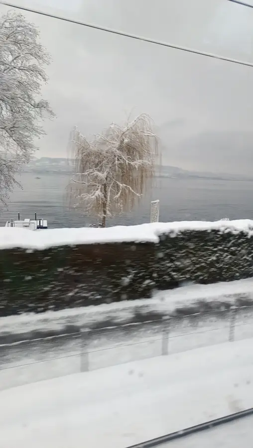 Wädenswil