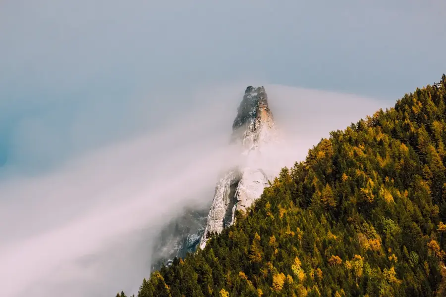 Chamonix-Mont-Blanc – oraș