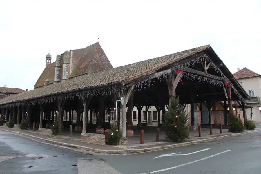 Châtillon-sur-Chalaronne – oraș