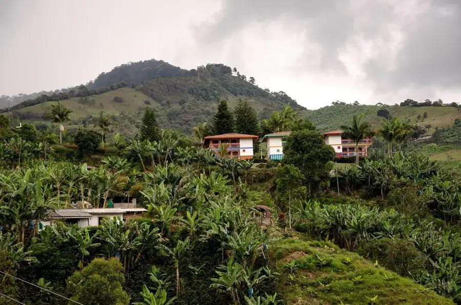 Chiapas Coffee Fincas — Palenque (Mexico)
