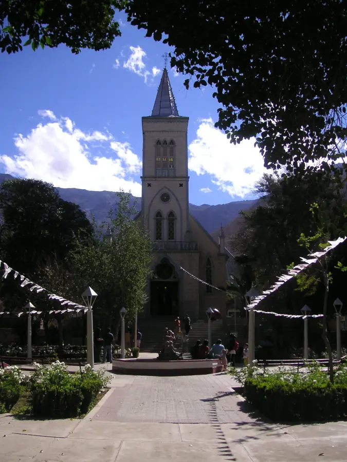 Pisco Elqui