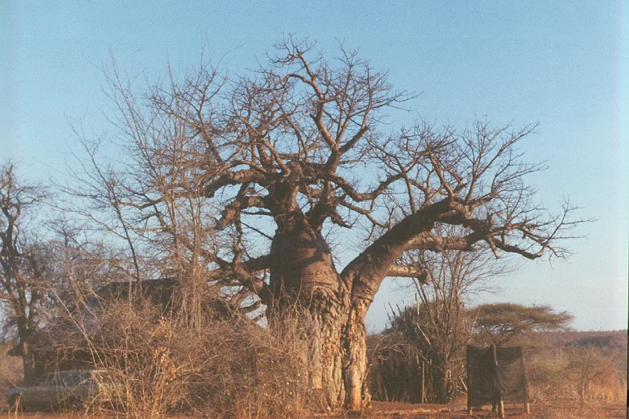 Chiredzi — Triangle (Simbabwe)
