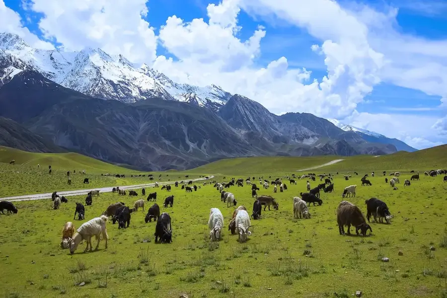 Parcul Național Chitral Gol — Charsadda (Pakistan)