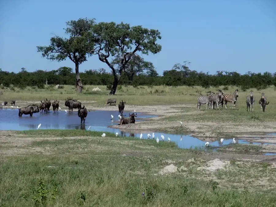 Chobe River — Bukalo (Namibia)