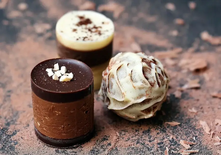 CHOCOCAM Chocolate Factory