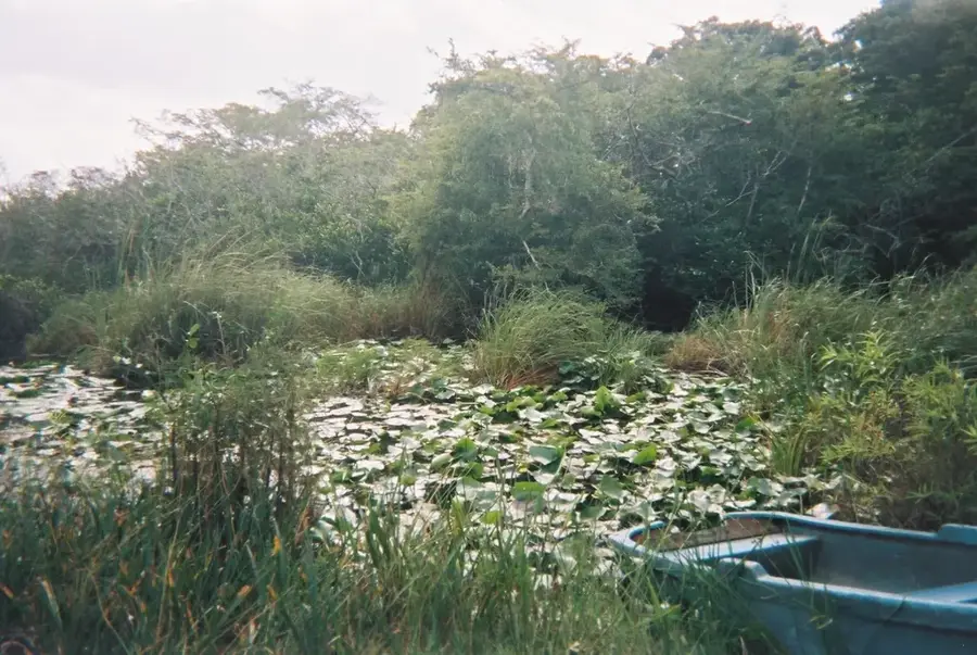 Ciénaga de Lanier — Soroa (Kuba)