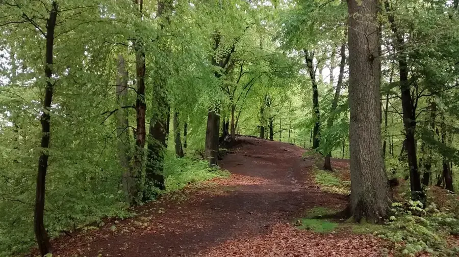 Eichholz – oraș
