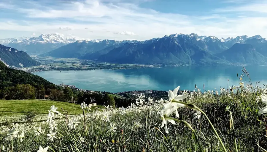 Montreux — Eiger (Elveția)
