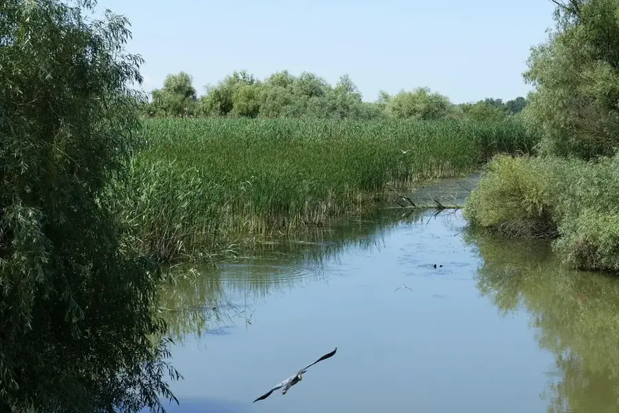 Tulcsa – város
