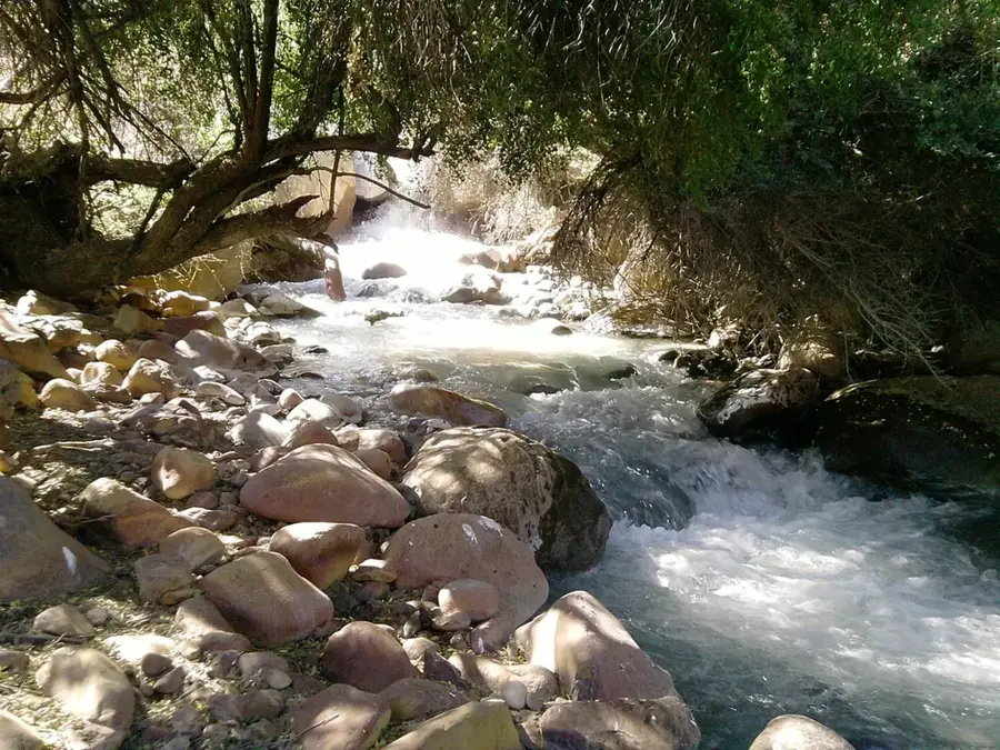 Santuario de la Naturaleza Yerba Loca