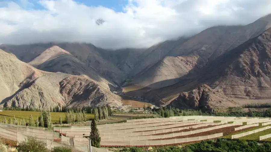Valle de Elqui