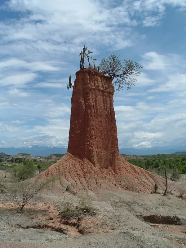 Deșertul Tatacoa — Caño Cristales (Columbia)