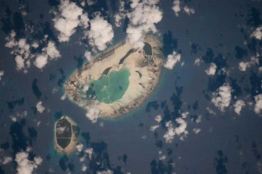 Kokosnussplantage auf D'Arros — Aldabra-Atoll (Seychellen)