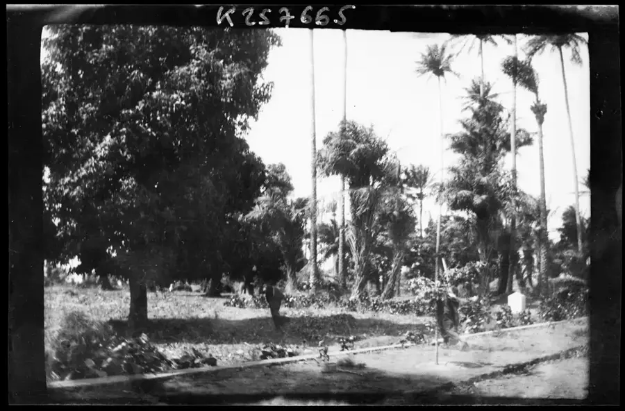 Botanischer Garten Conakry