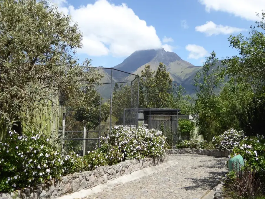 Parque Cóndor