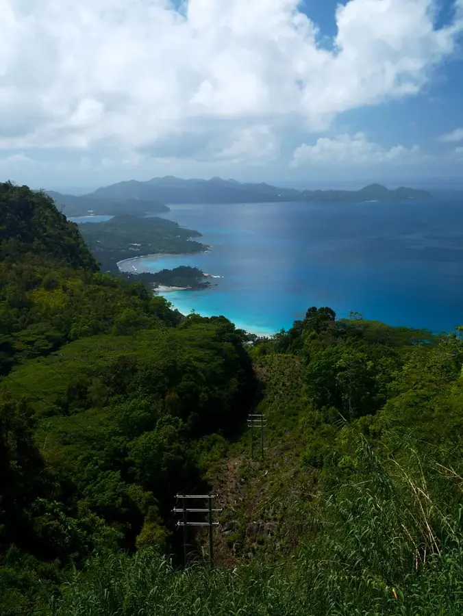 Congo Rouge — Misere (Seychelles)