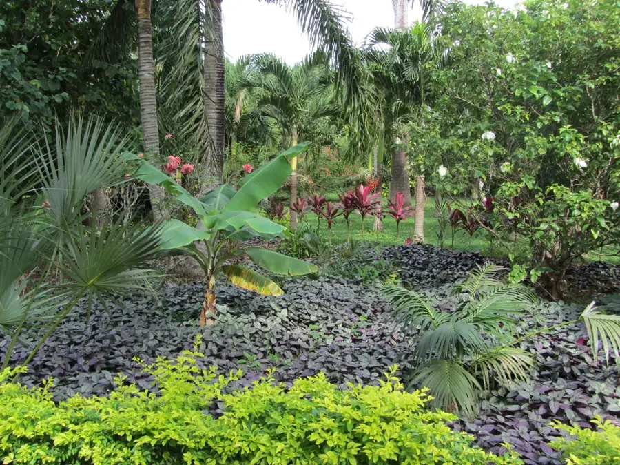 Maire Nui Botanical Gardens