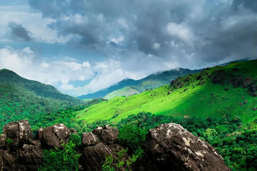 Plantațiile de cafea din Coorg — Panambur (India)