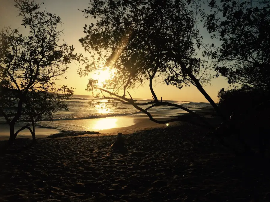 Playa Negra — Isla del Caño (Costa Rica)