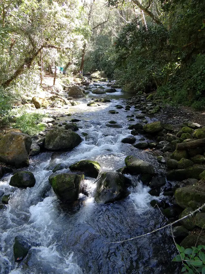 San Gerardo de Dota
