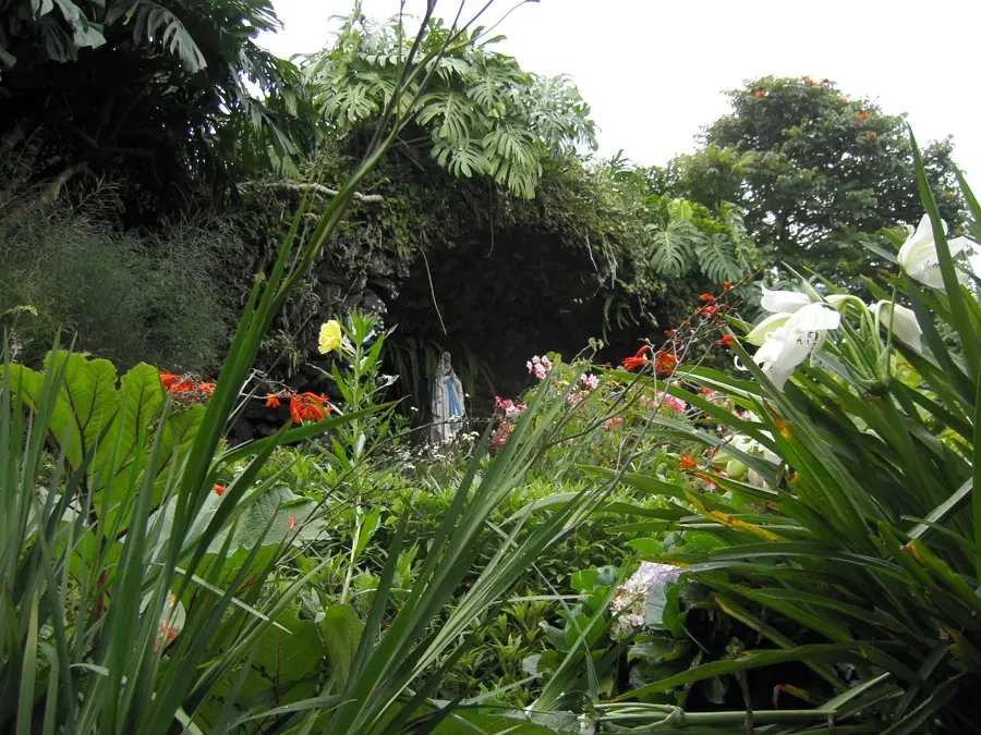Finca Rosa Blanca