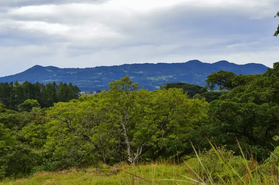 Heredia — Isla del Caño (Costa Rica)