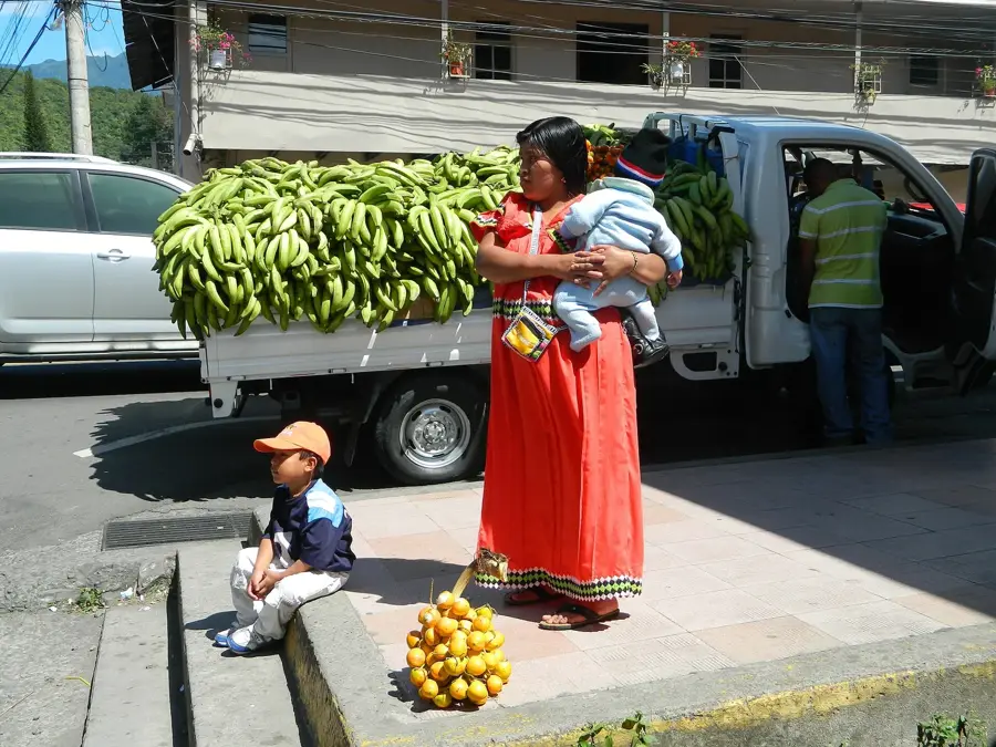 Schmetterlingszucht Boquete — Volcán Barú (Panama)