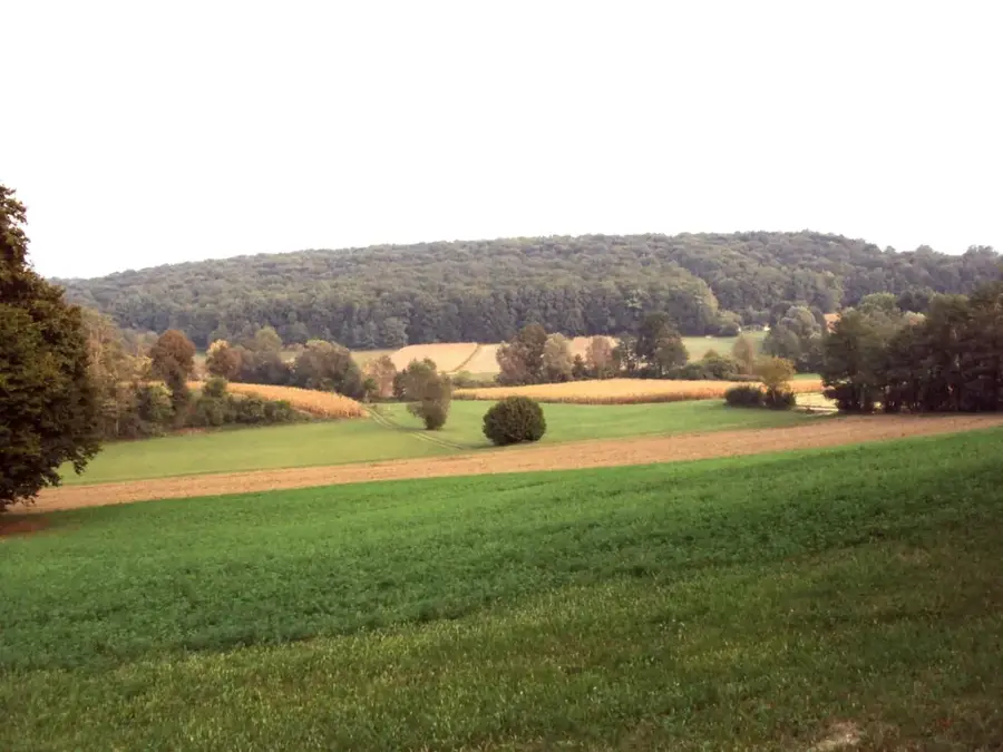 Bilogora