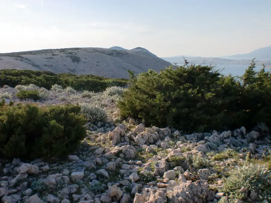 Bošana — Ćunski (Kroatien)