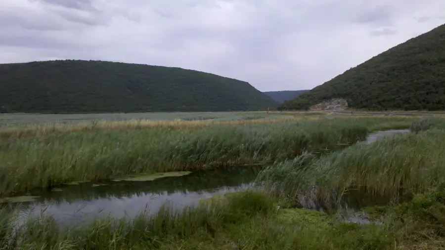Brgod (Croația)