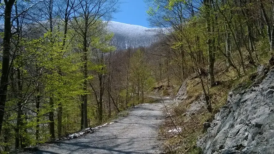 Brušane (Croația)