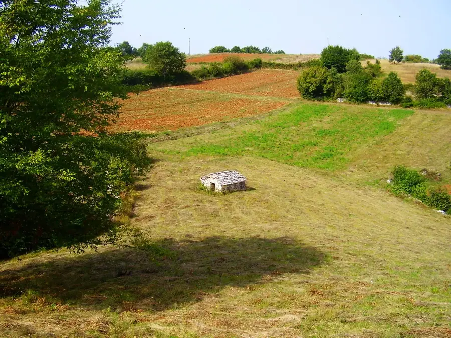 Buići (Croația)