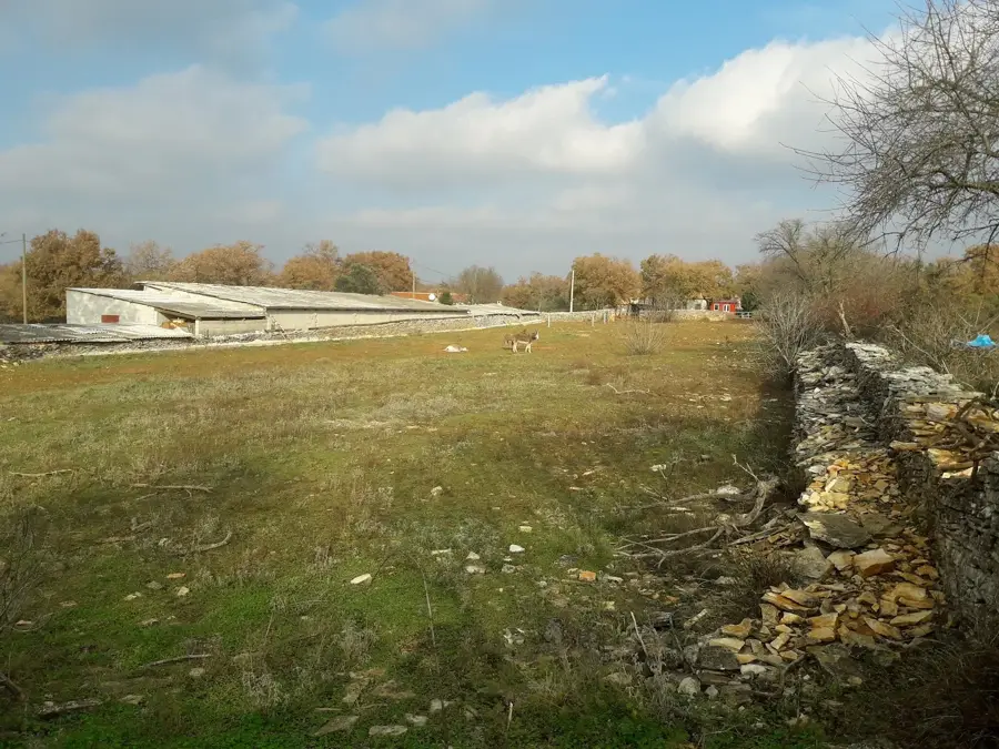 Cukrići (Horvátország)