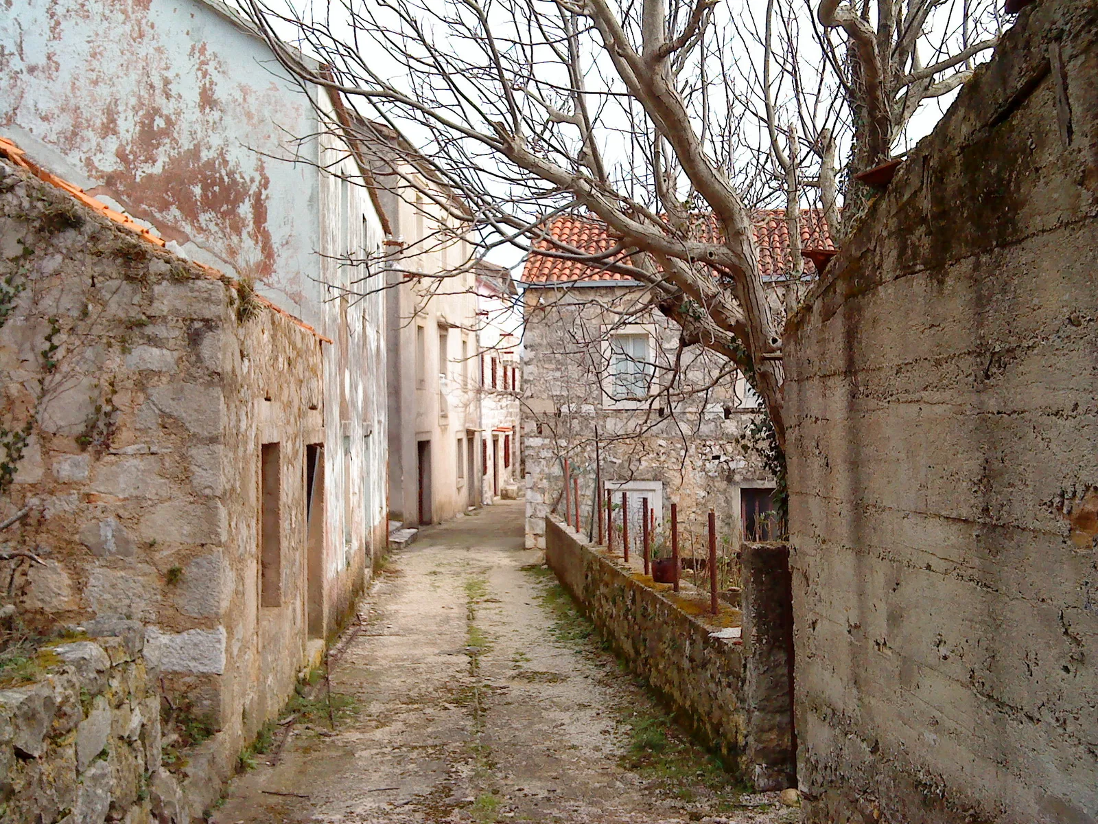 Donja Vrućica