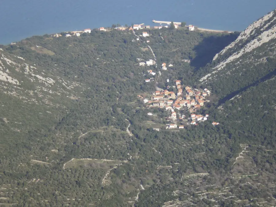 Duba Pelješka