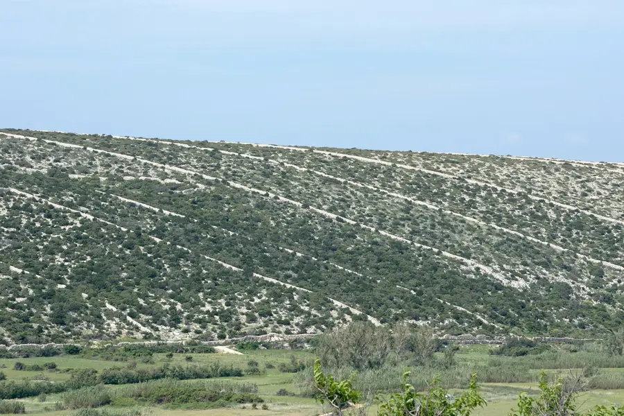 Kolan — Karlobag (Croația)