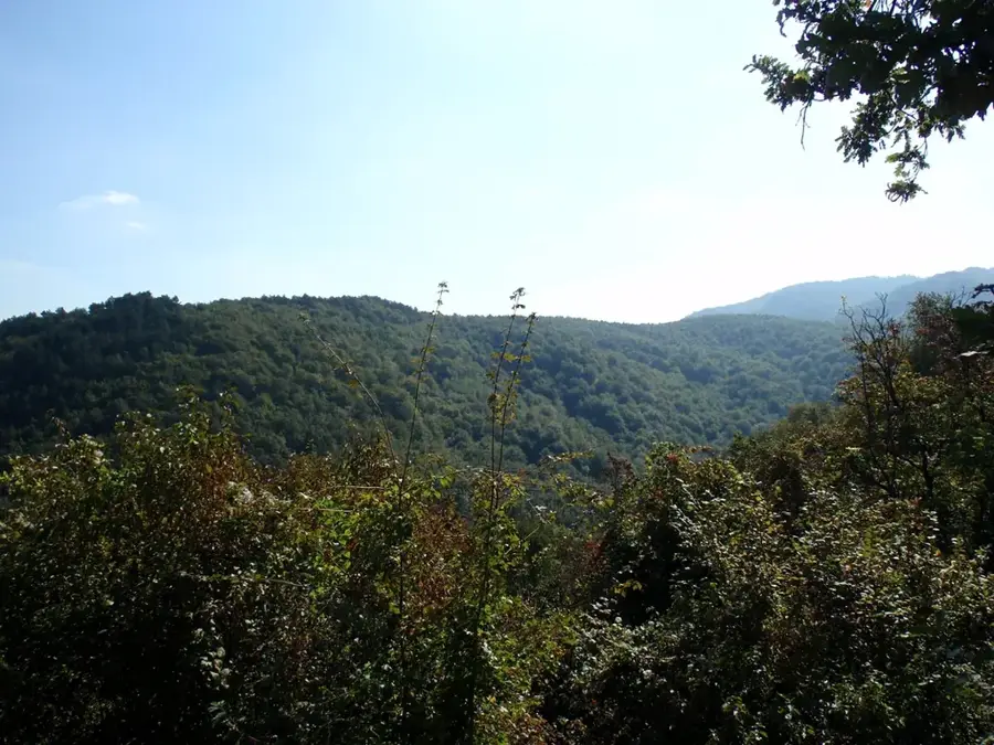 Krndija