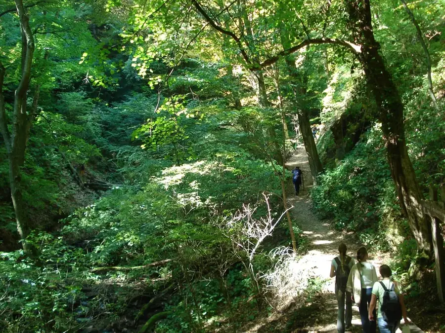 Naturpark Medvednica